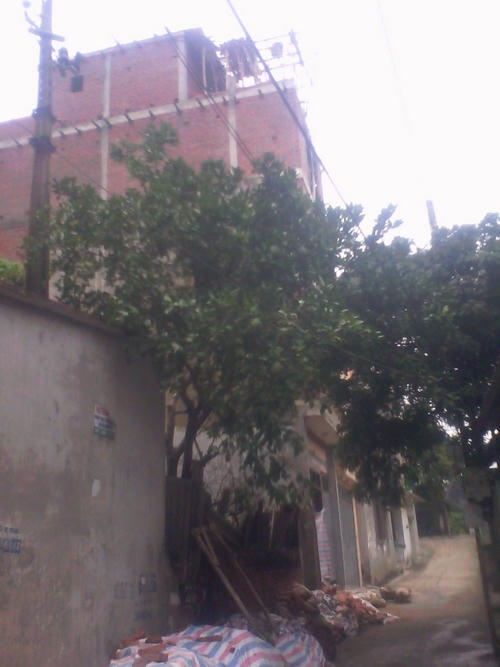 Quận Bắc Từ Liêm buông lỏng quản lý, sai phạm trật tự xây dựng tràn lan